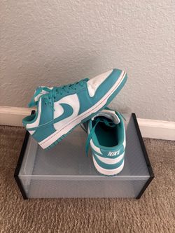 Women’s Nike dunks