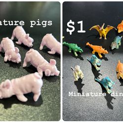Miniature pigs and dinosaurs
