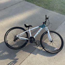Raleigh Eva Women's Bike