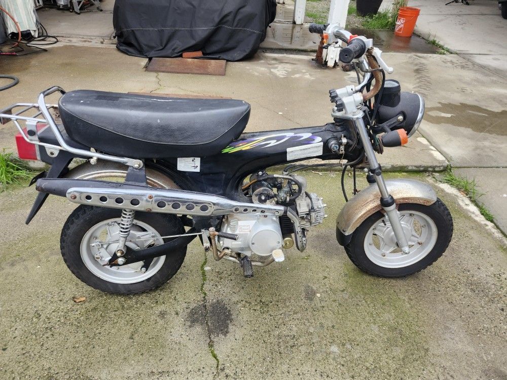 Great camping toy Fun.\nFor the kids