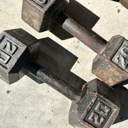 Cast iron Dumbbells-20lb. Pair 