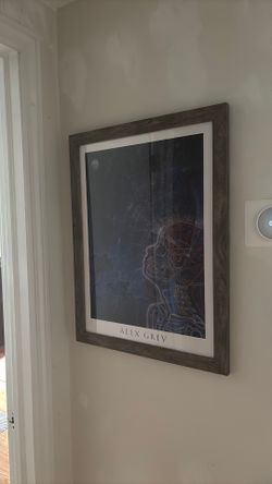 Alex Grey Poster with Frame