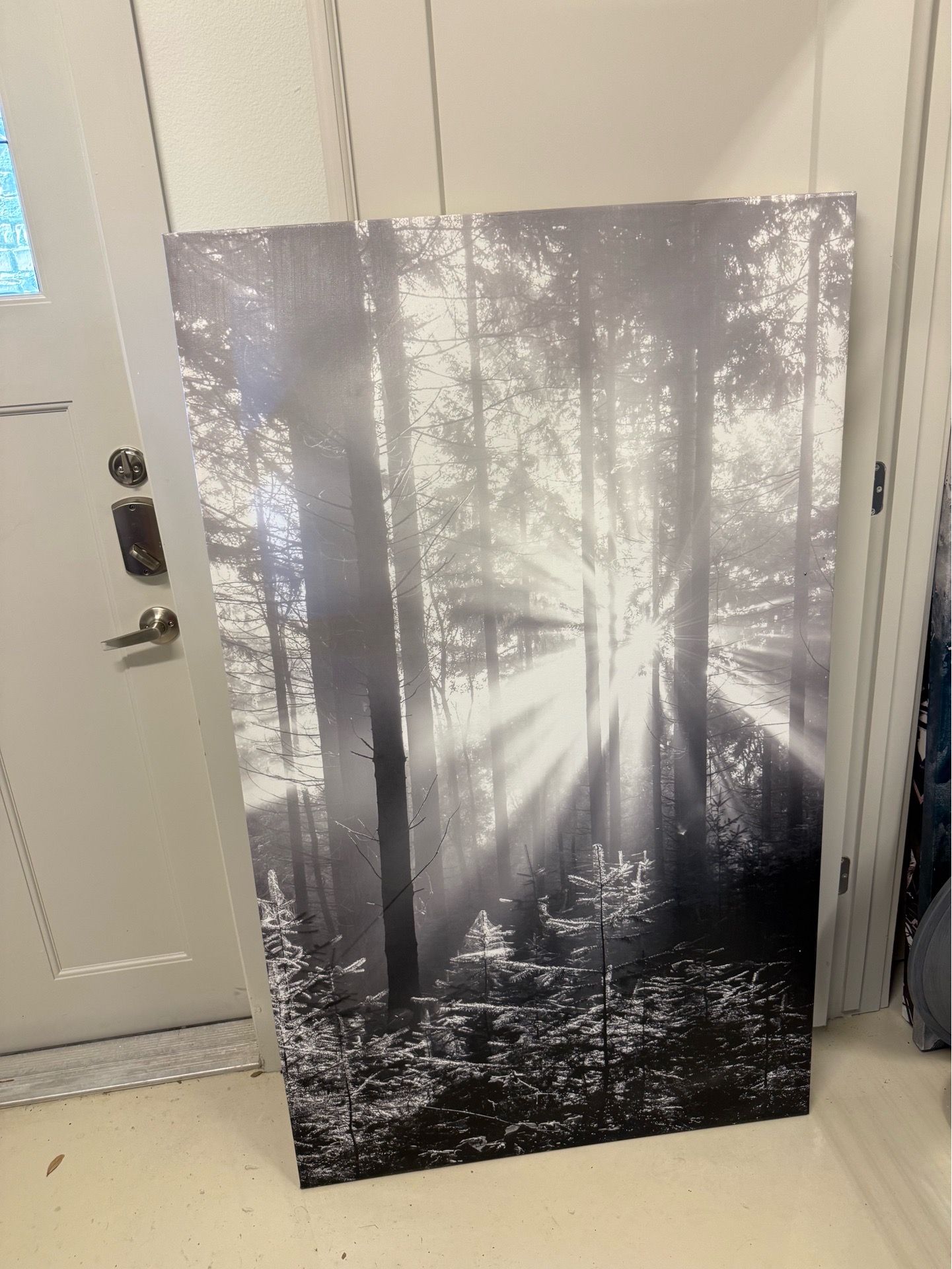Canvas art work - Forrest