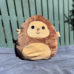 Squishmallow 