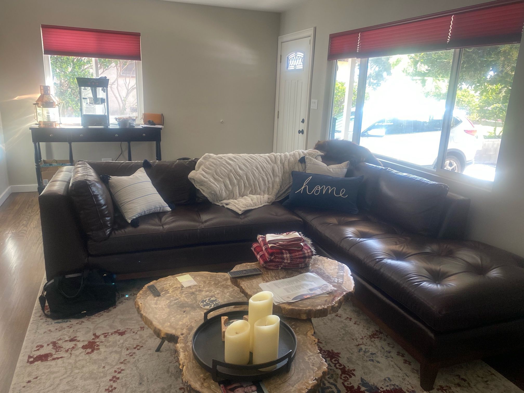 Brown Leather Couch