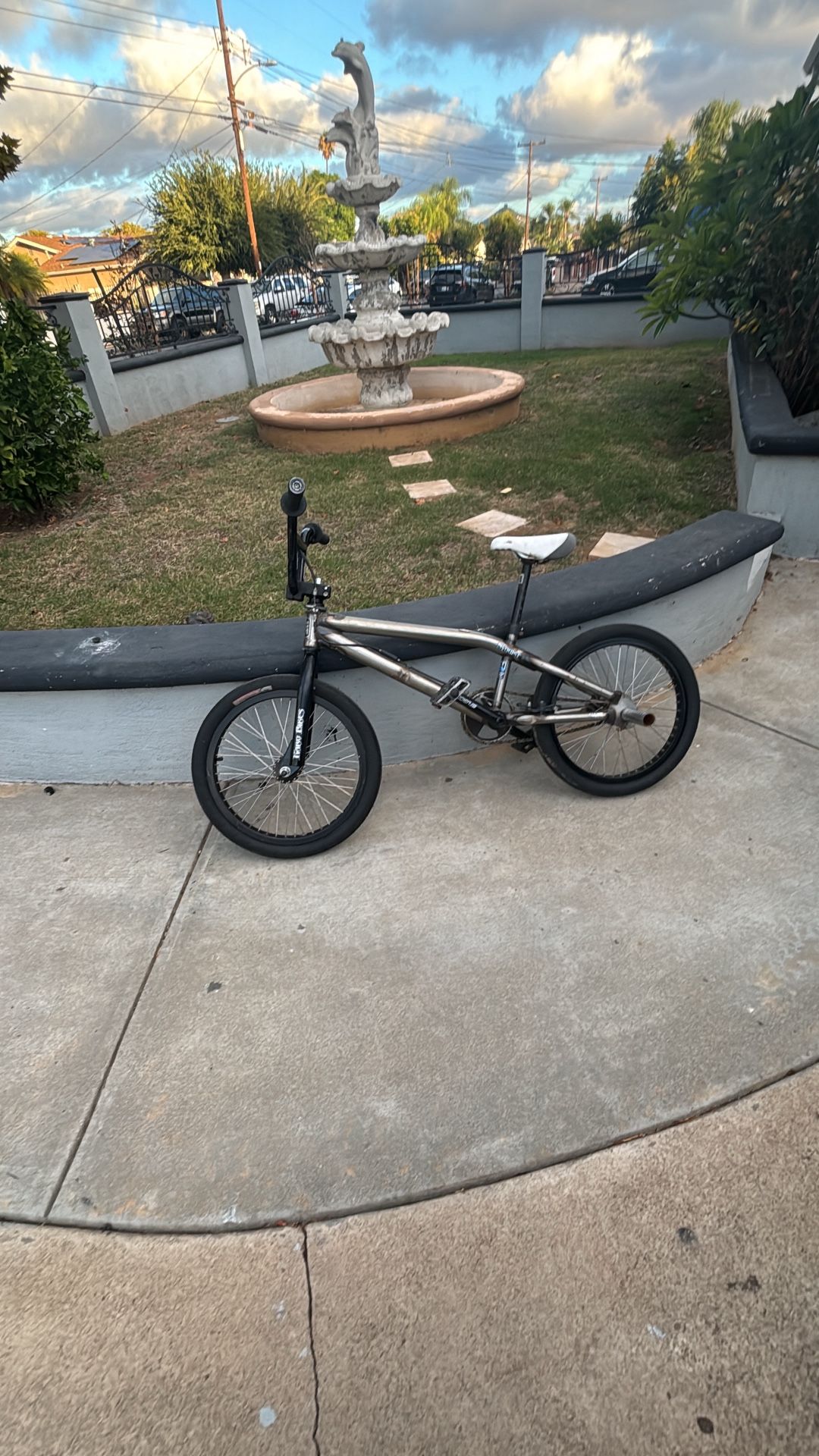 Custom Built BMX Bike