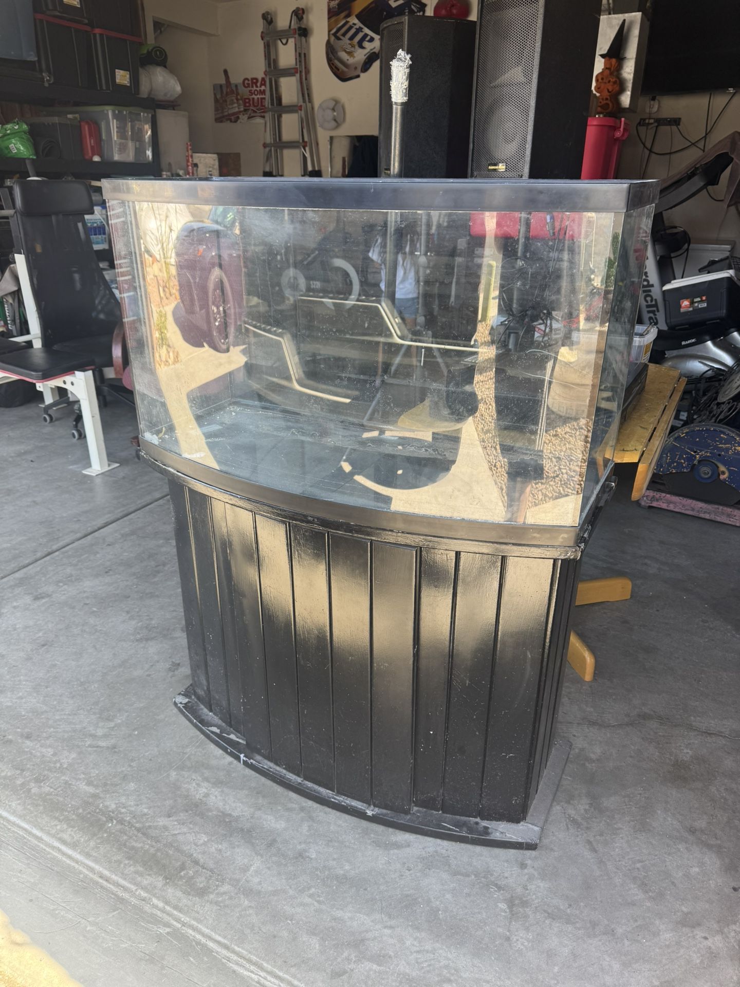 Fish Tank 