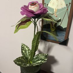 Eyeball Potted Plants Both For $10