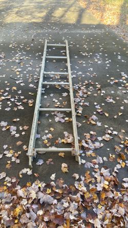 Scaffold Deck Ladder