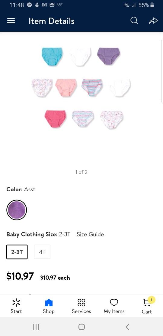 Hanes Toddler Girl's Briefs Size 2T-3T