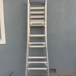 Ladder 6-8ft