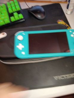 Switch light and carry case
