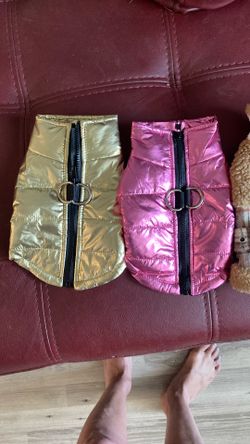 X small Pup Coats