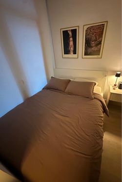 Queen Malm Ikea Bed frame + Free Ikea Haugsvar Queen Hybrid Mattress