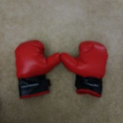Boxing Gloves 