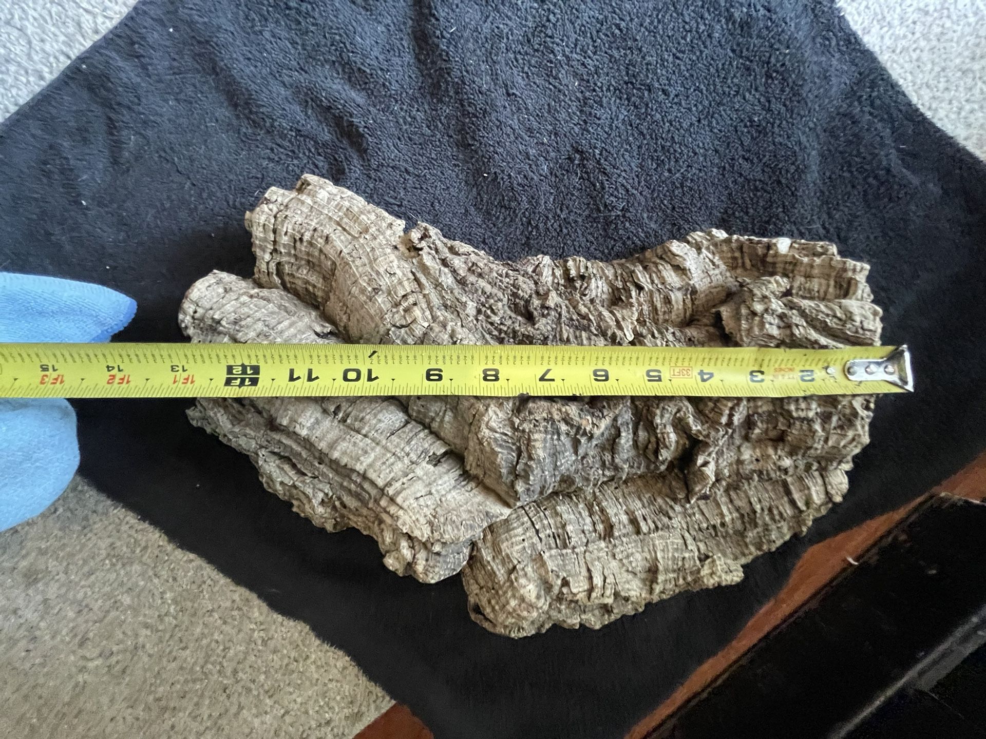 Reptile Hideout