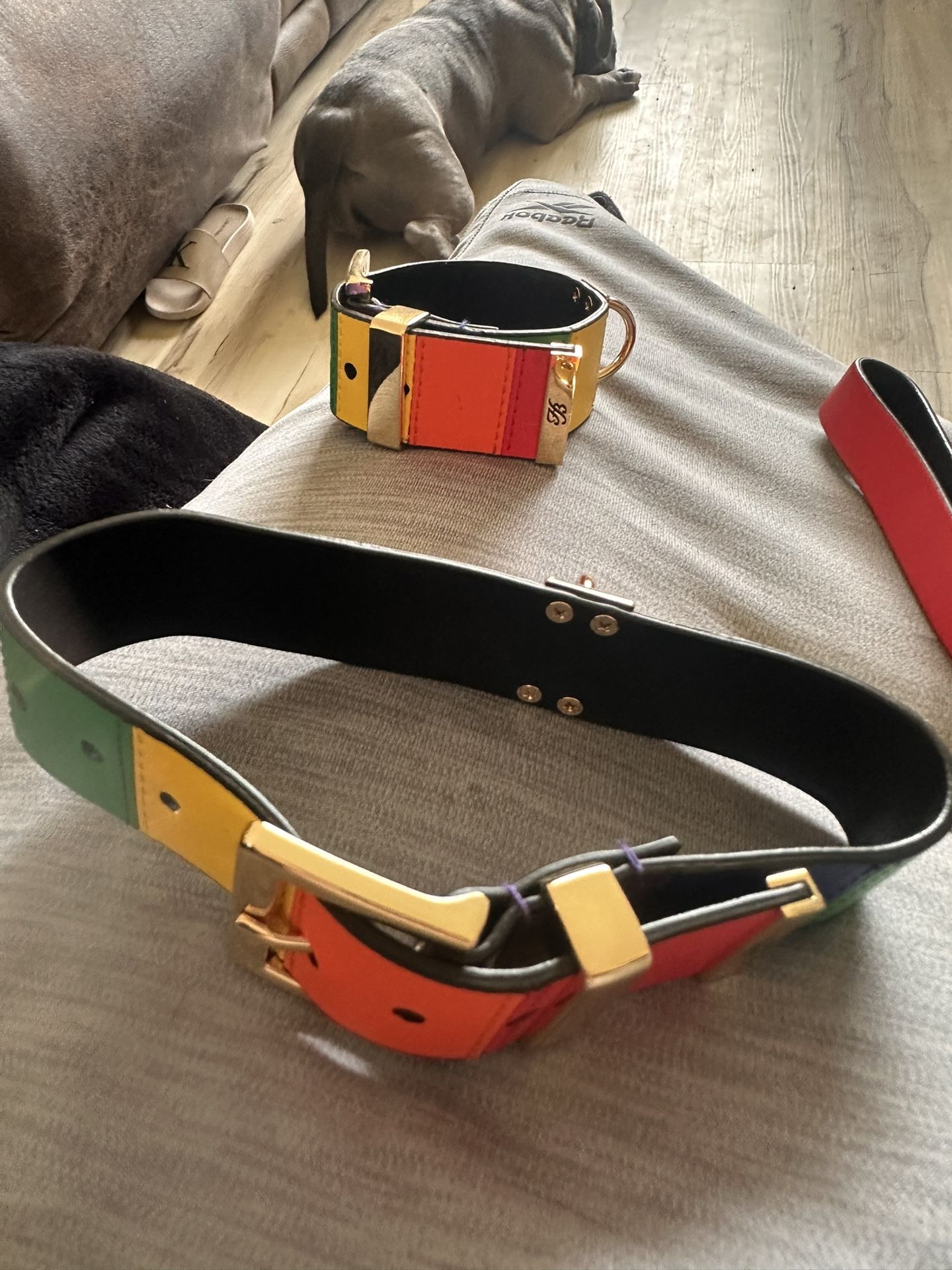 LGBTQ choker, and bracelet