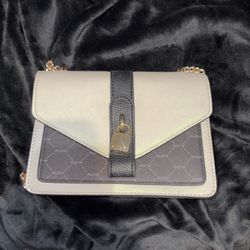 ALDO Handbag Crossbody with Chains