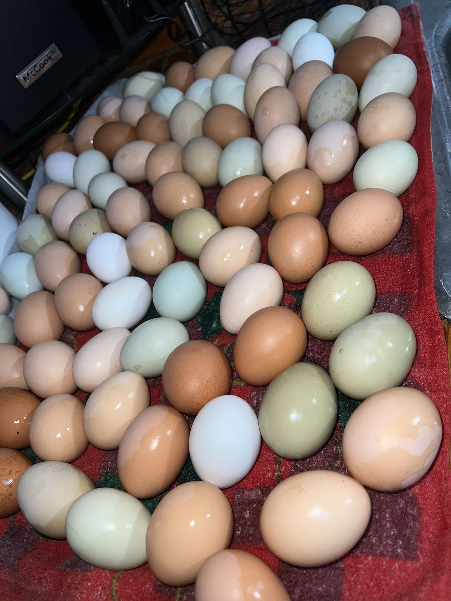 Fresh Eggs Daily🐓🍳