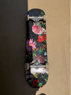 Skate board