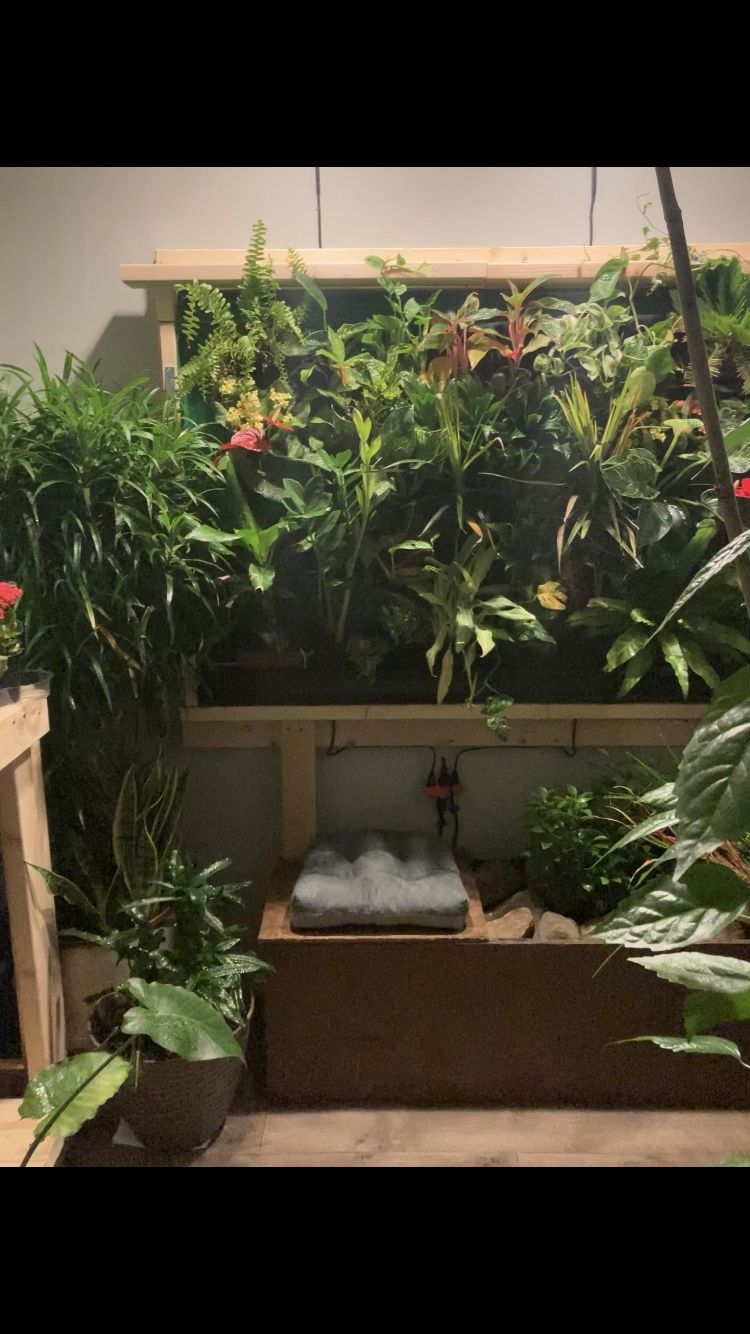 PLANT WALL