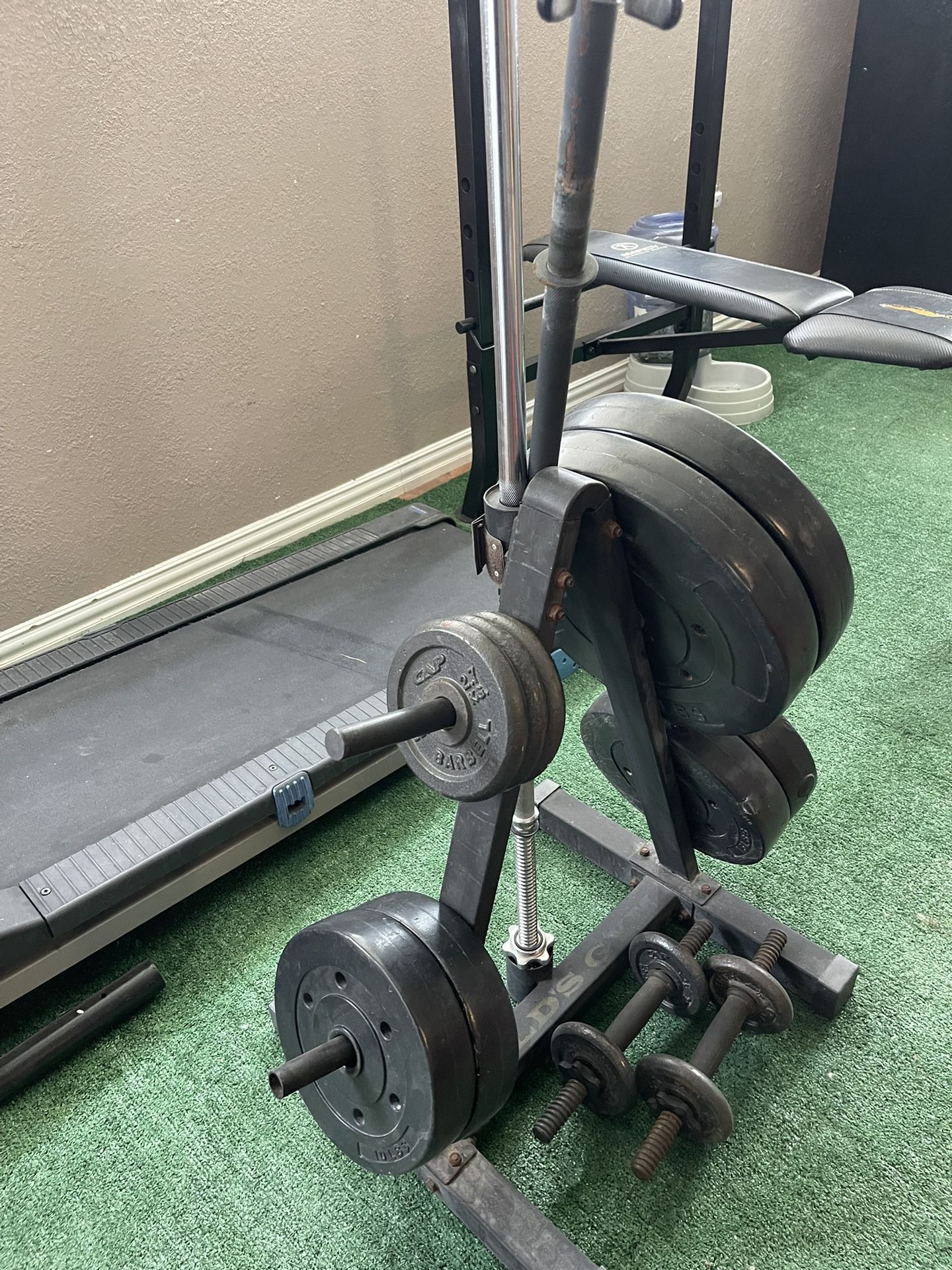Weights With Free Bench  