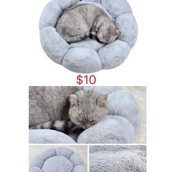 Cat Bed