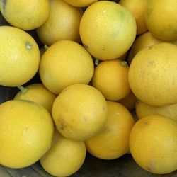 Limas dulce 5 Libra Por 10.00 