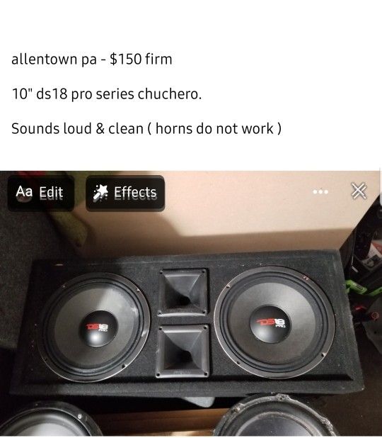 Ds18 Pro Series 10" Chuchero