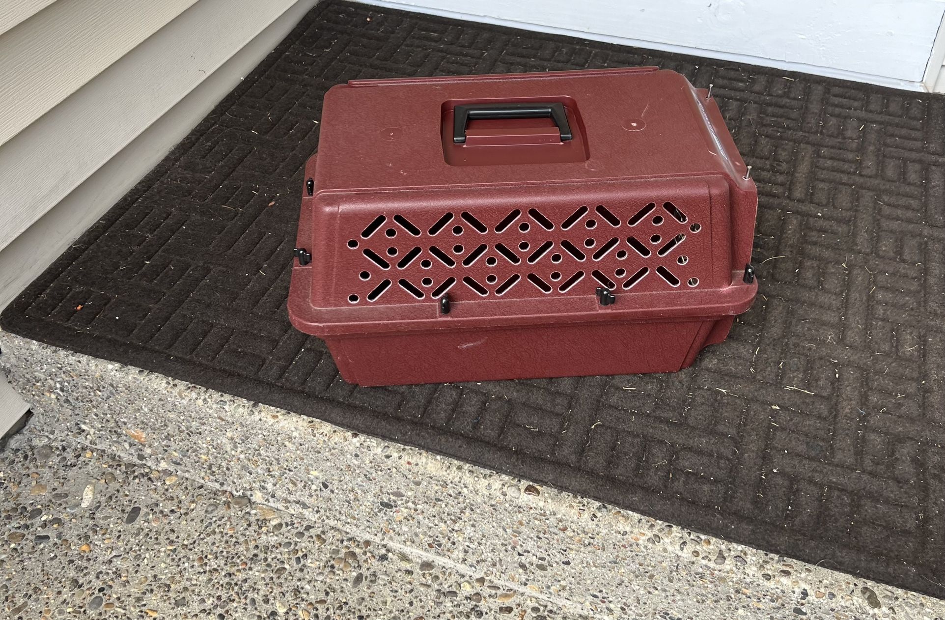 Kennel