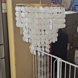 Natural white shell Chandiler