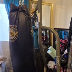  Everlast Boxing Bag And Stand