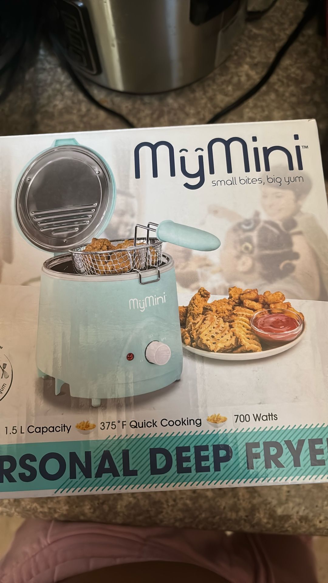 Deep Fryer