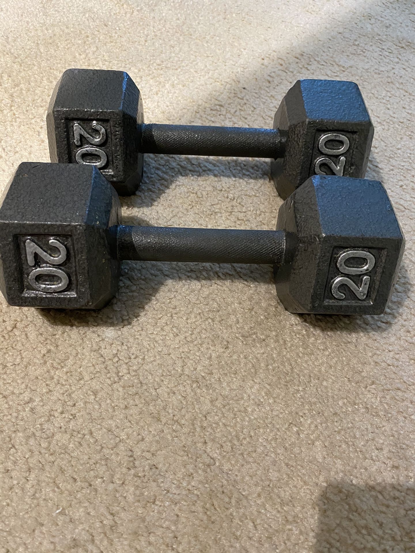 Dumbbell 20Lb set Cast Iron