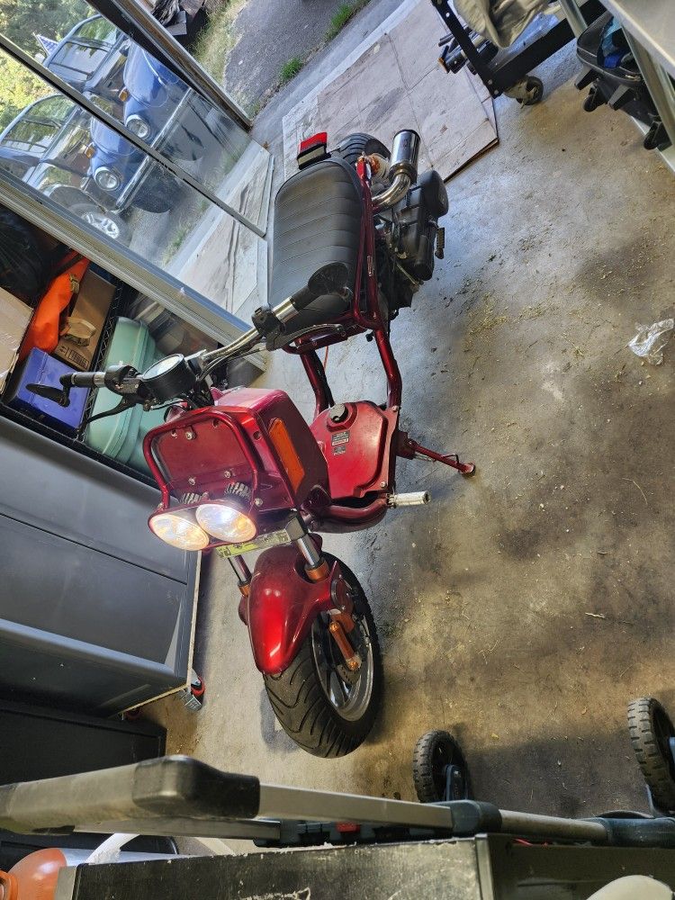 2016 Daix Ice Bear MadDog PMZ150-21