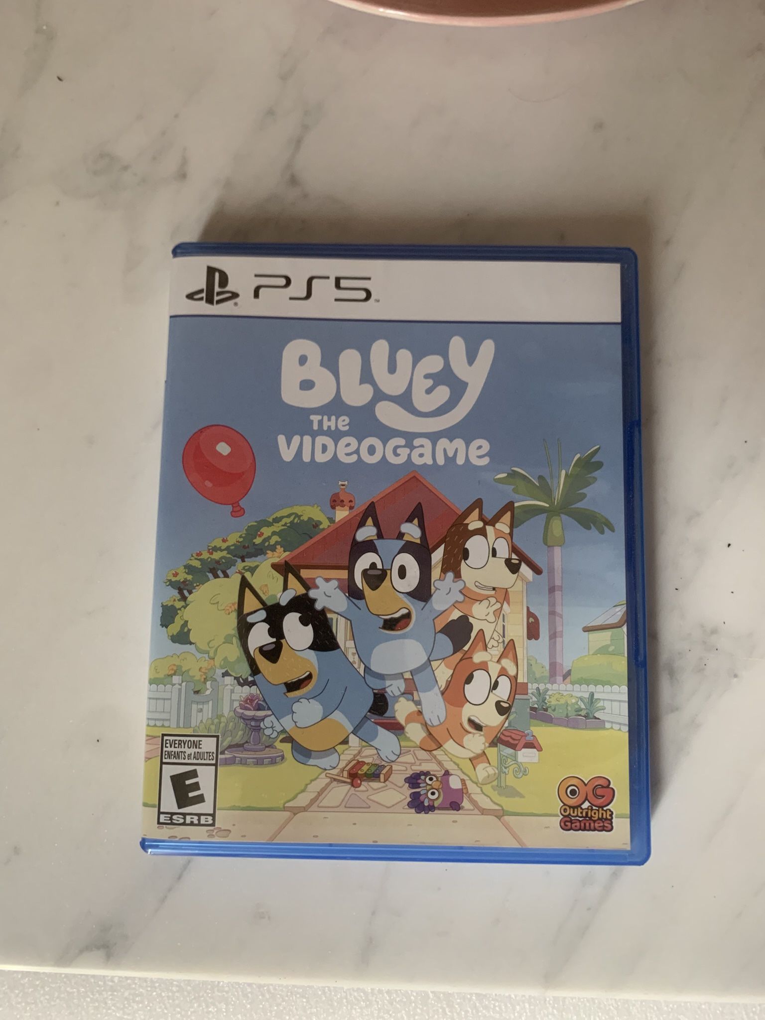 Bluey The Video game Sony PlayStation 5 Game Ps5