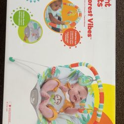 Baby Bouncer 