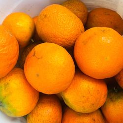 Free  bag of 20 organic tangerine 🍊