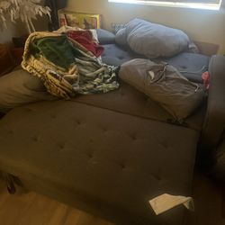 Couch/ Pull Out Bed