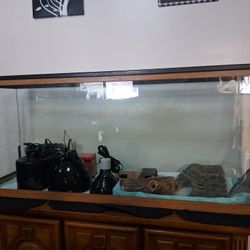 Aquarium With Complete Lizard Setup