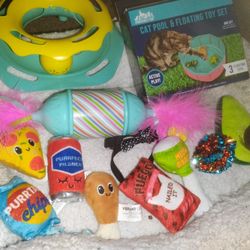 Cat Toys 