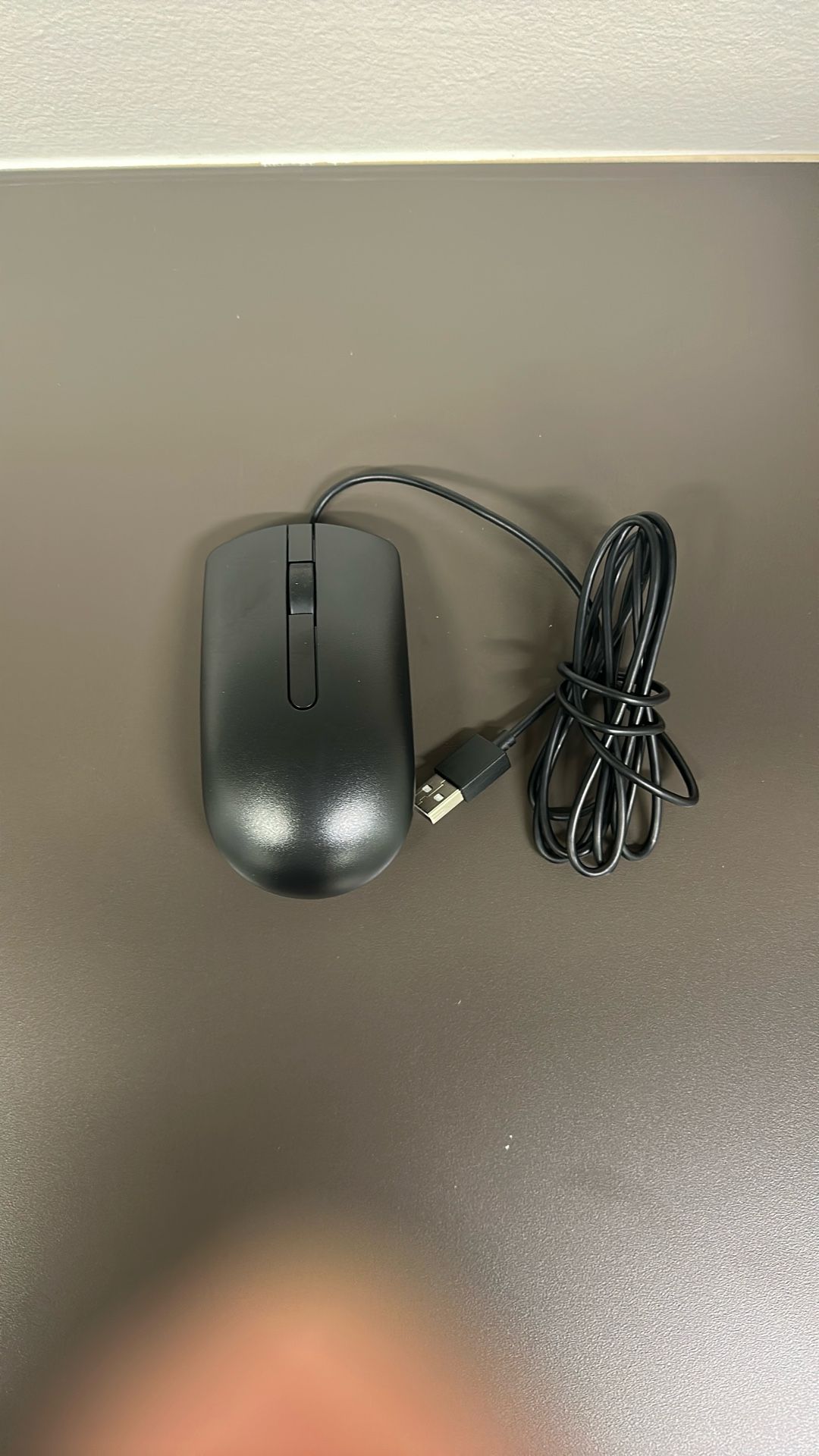 Dell Mouse (4)