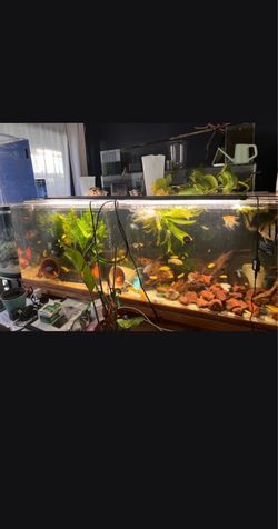Truvu 90gal Acrylic Tank - 60 x 18" × 20"H