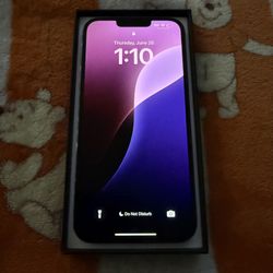 iPhone 13 Pro MAX.