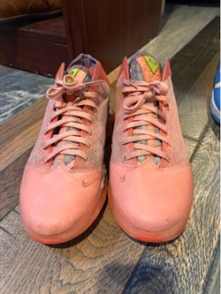 LeBron 19s 10.5