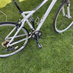 Schwinn Bicycle Needs Seat 