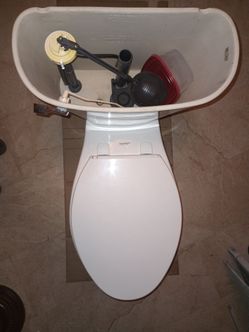 White Elongated Toilet