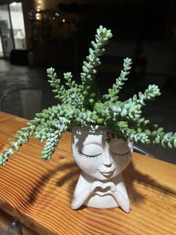 Buros tail With Pot