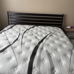 Never Used Mattresses All New Sleep On It Today