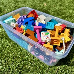LEGO DUPLO bricks and pieces
